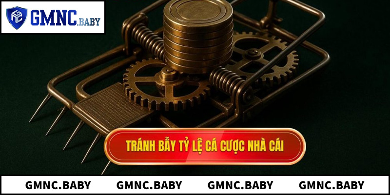 5 Bí Mật Về Cách Tránh Bẫy Nhà Cái Cho Người Mới
