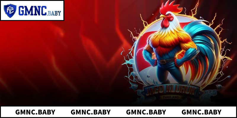 Lưu ý khi tham gia theo dõi tại các đấu trường lớn