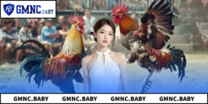 Cách Nhận Biết Trường Gà Nổi Tiếng Và Uy Tín Cho Người Mới