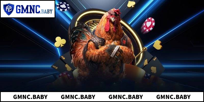 Những đặc điểm của một trường gà nổi tiếng